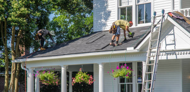Best Roof Moss and Algae Removal  in Rkside, PA